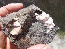 Minerali natrolite piz usato  Buggiano