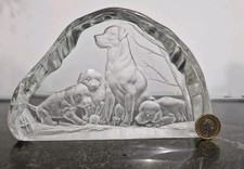 Glass labrador pups for sale  GOOLE