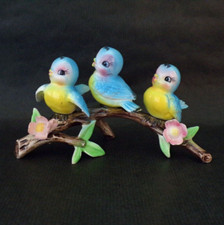 Cute norcrest baby for sale  Graham