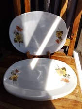 Pyrex jaj autumn for sale  GRIMSBY