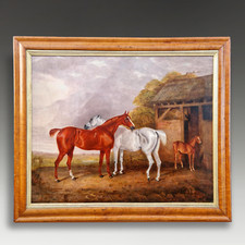 Grey chestnut horses for sale  NORWICH