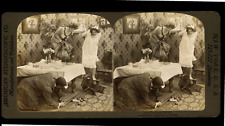 Jeanette rat ca.1900 d'occasion  Pagny-sur-Moselle
