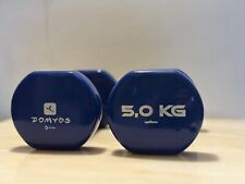 Pesi palestra domyos usato  Campi Bisenzio
