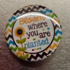Bloom planted pin for sale  Lansing