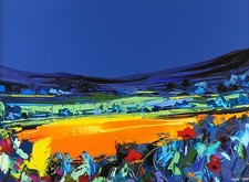 Duncan macgregor summer for sale  CHERTSEY