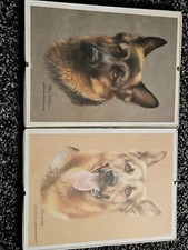 Joel kirk picture for sale  POLEGATE