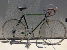 bike 1 raleigh talus for sale  Albany