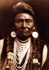 Chief joseph 22x30 for sale  Cambria
