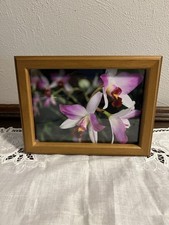 Wood frame fuchsia for sale  Verona