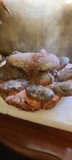 Dinosaur fossil tarbosaurus for sale  Sylmar