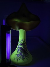 jack pulpit vase for sale jack pulpit vase for sale Hamilton