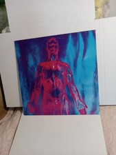 NIRVANA- 12" Vinyl Record SLIVER  German 1st Pressing NM comprar usado  Enviando para Brazil