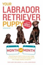 Labrador retriever puppy for sale  Montgomery