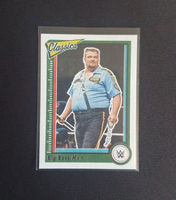 Panini wwe chronicles gebraucht kaufen  Oberhausen