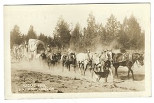 Vintage rppc hampton for sale  Cottage Grove