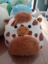Squishmallows soft toy for sale  NEWTON ABBOT