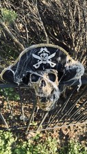 Halloween pirate skull for sale  Thief River Falls