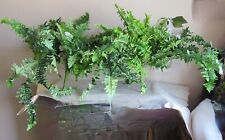 Plastic green fern for sale  Centerburg