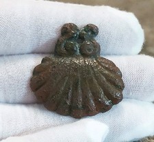 Large ancient scallop for sale  EASTBOURNE