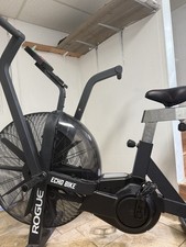 Rogue echo bike for sale  Chicago