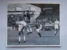 Triestina calcio trento usato  Trieste