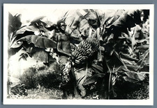 Senegal vintage print d'occasion  Expédié en Belgium