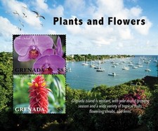 Grenada 2020 plants for sale  Brooklyn