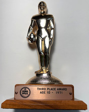Vintage 1971 nfl for sale  Rochester