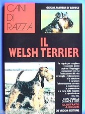 Welsh terrier. giulio usato  Salerno