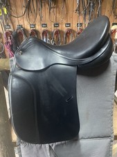 Prestige hippos dressage gebraucht kaufen  Köln