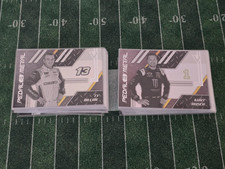 Panini chronicles nascar gebraucht kaufen  Gifhorn