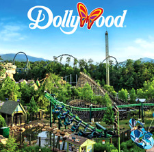 Dollywood theme park for sale  USA