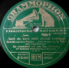 Leo monosson wirst gebraucht kaufen  Bad Freienwalde (Oder)
