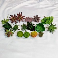 Faux succulents unpotted for sale  Roseville