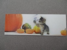 Holographic bookmark kitten for sale  NORWICH