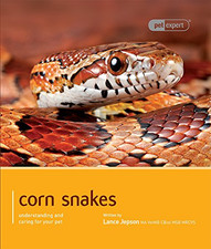 Corn snake lance for sale  ROSSENDALE