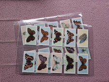 Complete set lifeguard for sale  NEWBURY