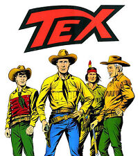 Tex willer collezione usato  Catania