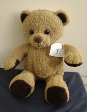 Debenhams golden bear for sale  BOGNOR REGIS