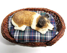 Sandicast lil snoozer for sale  Hobart