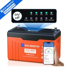 Eco worthy 12v for sale  Los Angeles