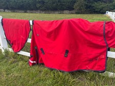 Mark todd medium for sale  HORLEY