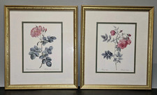 Pierre joseph redoute for sale  Mount Pleasant