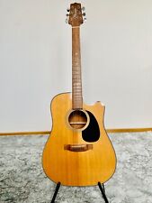 Takamine series chitarra usato  Spedire a Italy