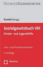 Sozialgesetzbuch viii gebraucht kaufen  Berlin