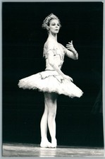 1984 antoinette sibley d'occasion  Viry-Châtillon