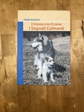 haqihana usato haqihana usato Burago di Molgora