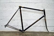 Nos 57cm daccordi for sale  Waconia