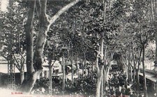 Cpa debut 1900 d'occasion  Nîmes
