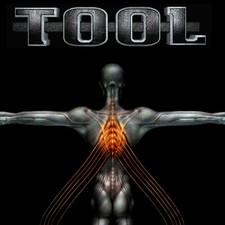 Tool salival banner for sale  Girard